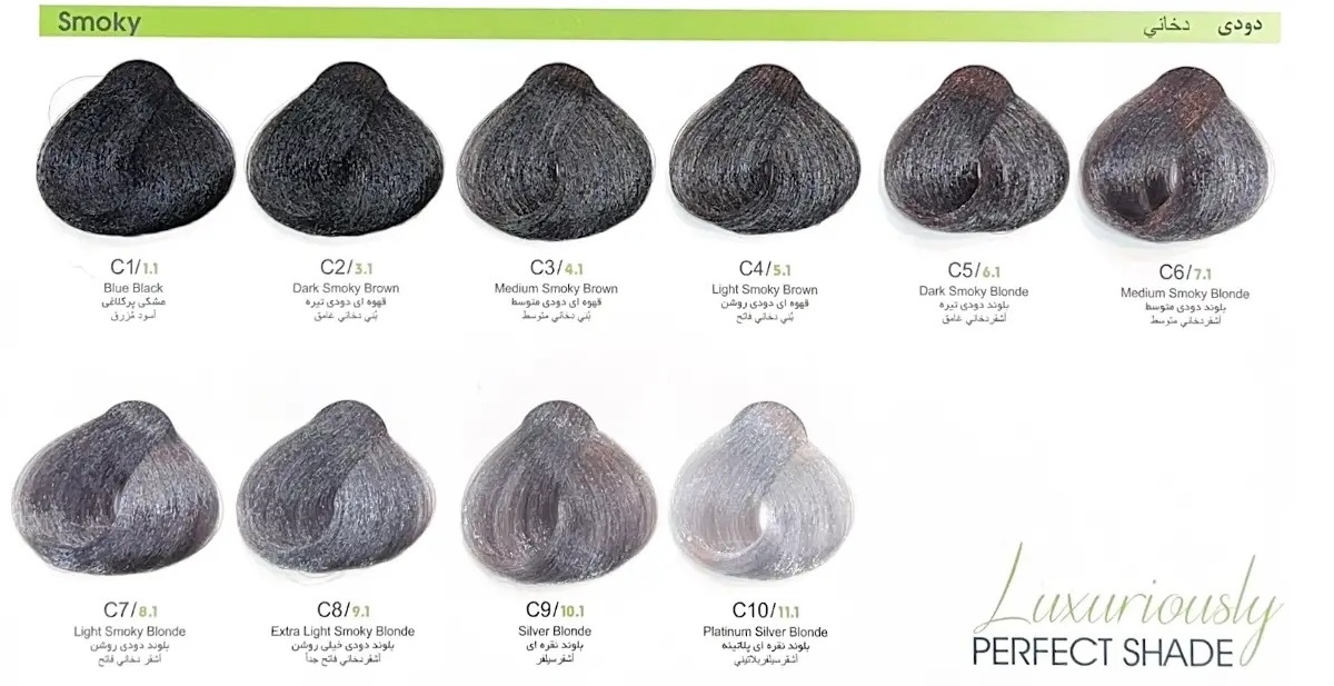 رنگ موی بیو داکس سری دودی و خاکستری